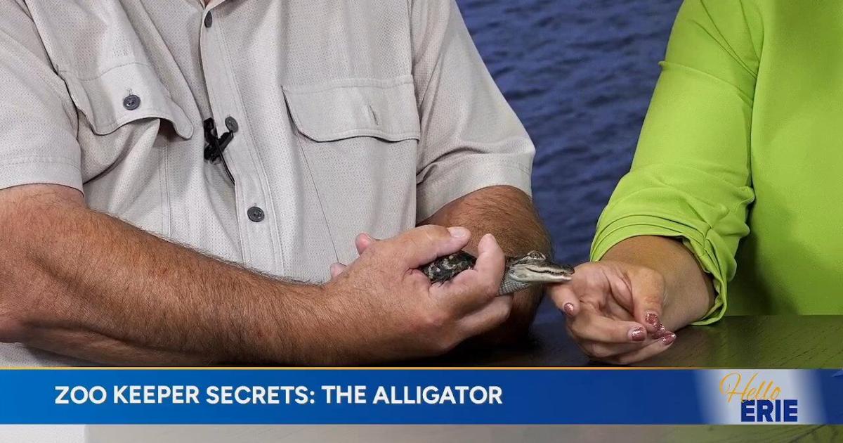 Hello Erie: behind the scenes with zookeeper secrets Roz | Hello Erie