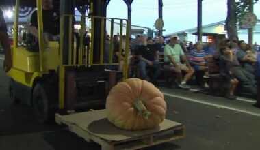 Oley Valley hosts annual pumpkin weigh-off | Video