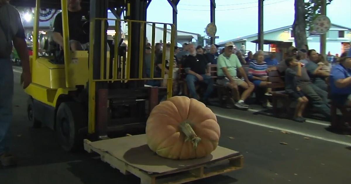 Oley Valley hosts annual pumpkin weigh-off | Video