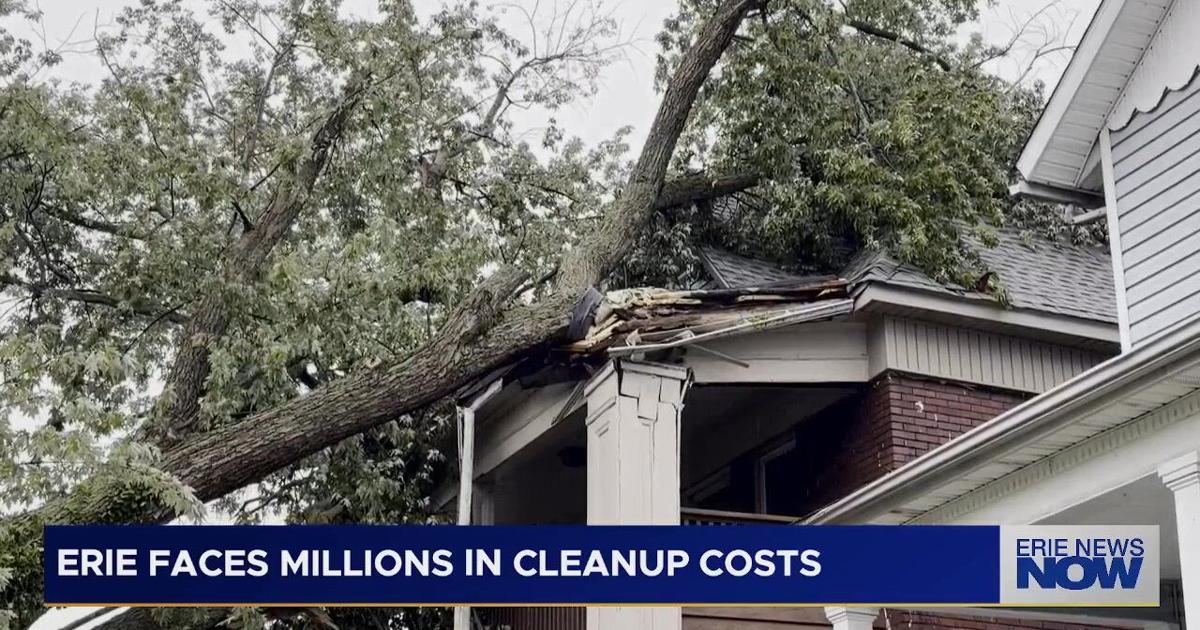 Erie City Council Approves $4M Transfer for Storm Cleanup | News