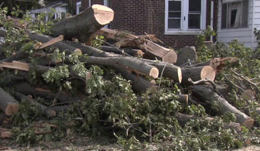 Volunteers Continue Storm Recovery Efforts in Erie | News