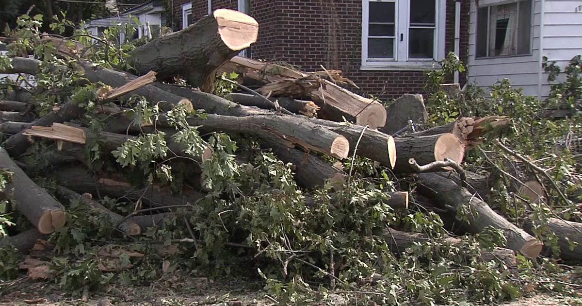 Volunteers Continue Storm Recovery Efforts in Erie | News