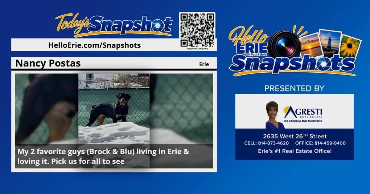 Snapshot of the Day from Nancy P | Hello Erie