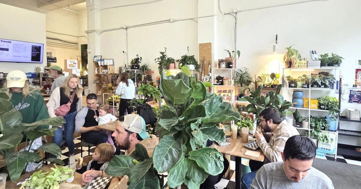 ‘Excited to be growing’: Popular Lehigh Valley coffee and plant shop to expand into neighboring space | Eat, Sip, Shop