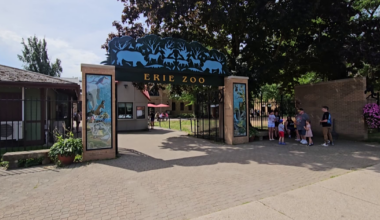Erie Zoo Mourns Loss of Longtime Animal Ambassador | News