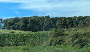 Appeal related to large solar farm project in rural Northampton County to be heard Monday | Slate Belt Area