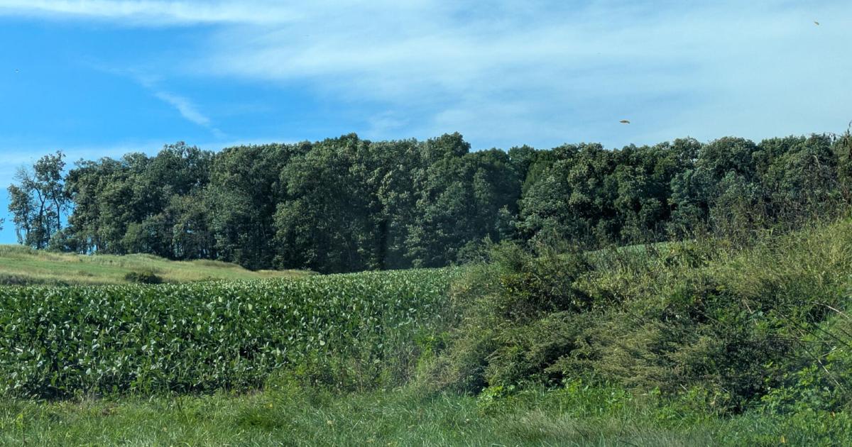 Appeal related to large solar farm project in rural Northampton County to be heard Monday | Slate Belt Area