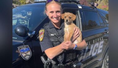 ‘Come out and help celebrate her’: Celebration of life planned for fallen officer Kristen Yeager | Reading Area