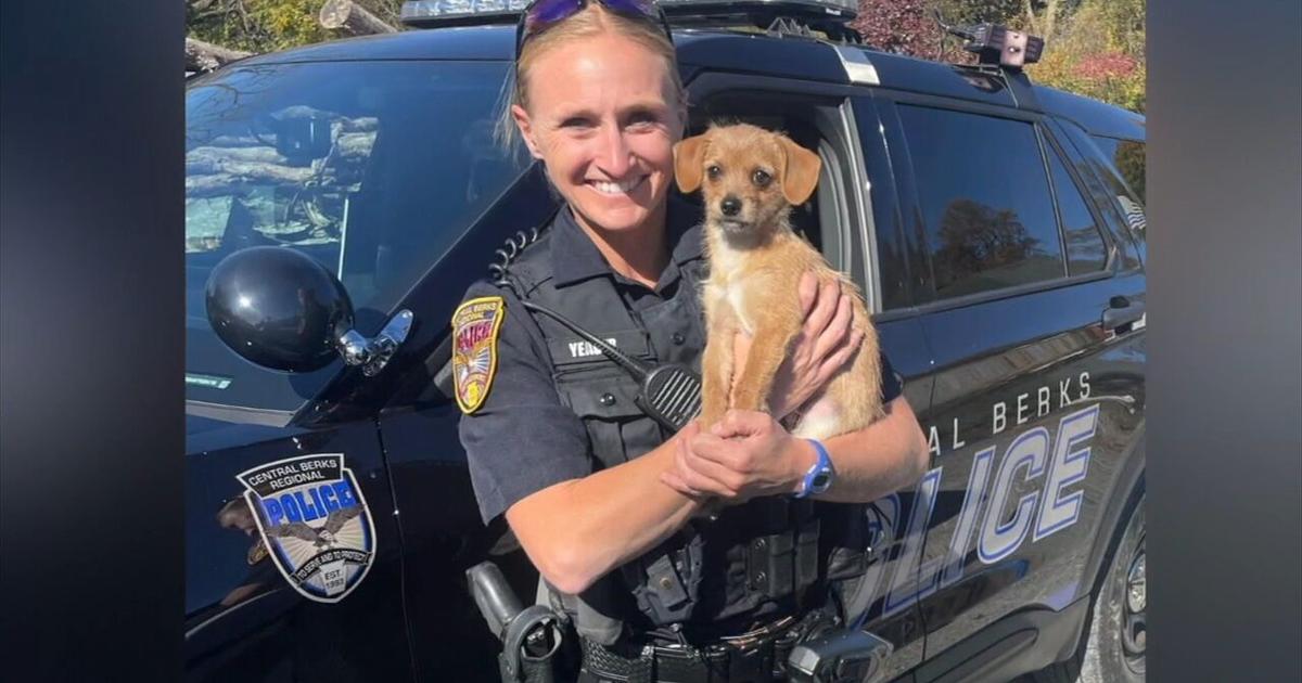 ‘Come out and help celebrate her’: Celebration of life planned for fallen officer Kristen Yeager | Reading Area