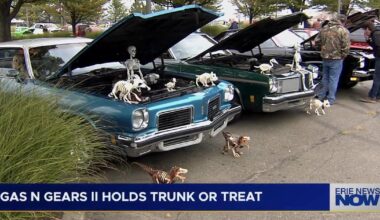 Gas N Gears II Ends Summer Season with Trunk or Treat Event | News