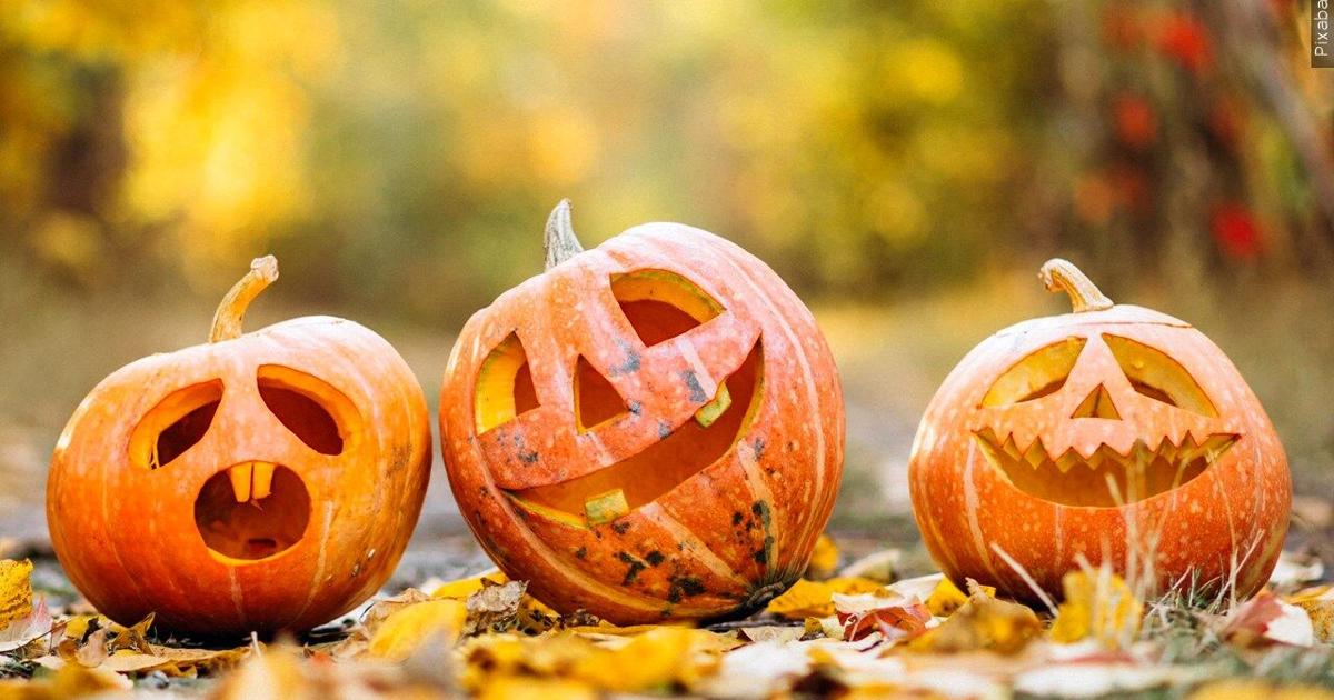 Bands, floats, fire trucks: Temple Halloween Parade returns this weekend | Berks Regional News