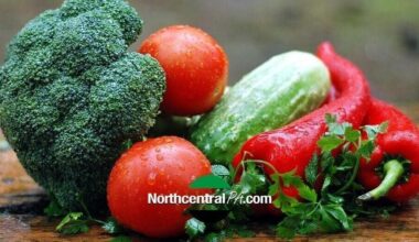 SNAP benefits increase Oct. 1 for Pennsylvania households | State