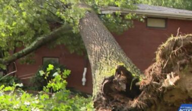 Trees crush homes in Monroeville and Penn Township