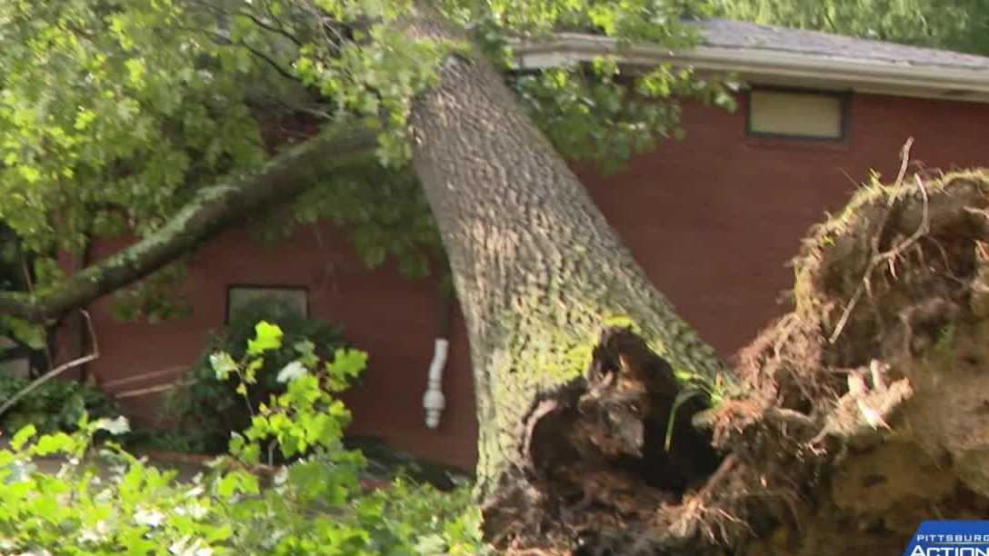Trees crush homes in Monroeville and Penn Township