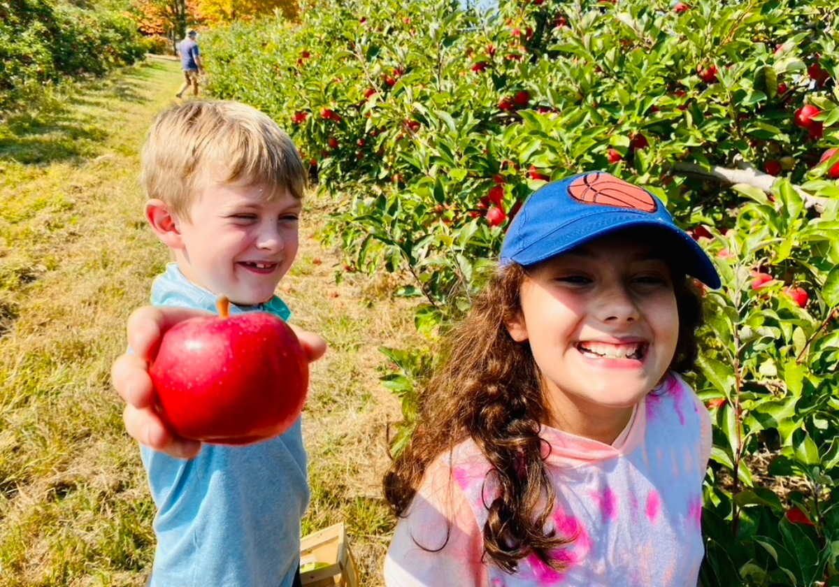 Where to Pick Your Own Apples Near Erie, PA in 2026