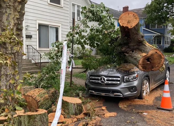 A tree came down on this car in the 2700 block of Liberty Street during the Sept. 2-3 storm.