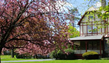 Lower Merion ranks No. 37 on Money' list of best 50 places to live in the US