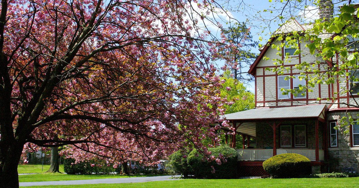 Lower Merion ranks No. 37 on Money' list of best 50 places to live in the US