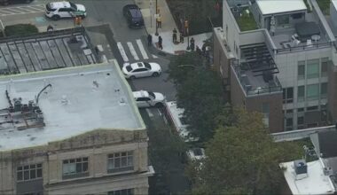 Woman dies after being struck by vehicle in Philly, police say – NBC10 Philadelphia