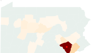 Map Shows Where Measles Cases Spiking in Pennsylvania as 2 Deaths Reported