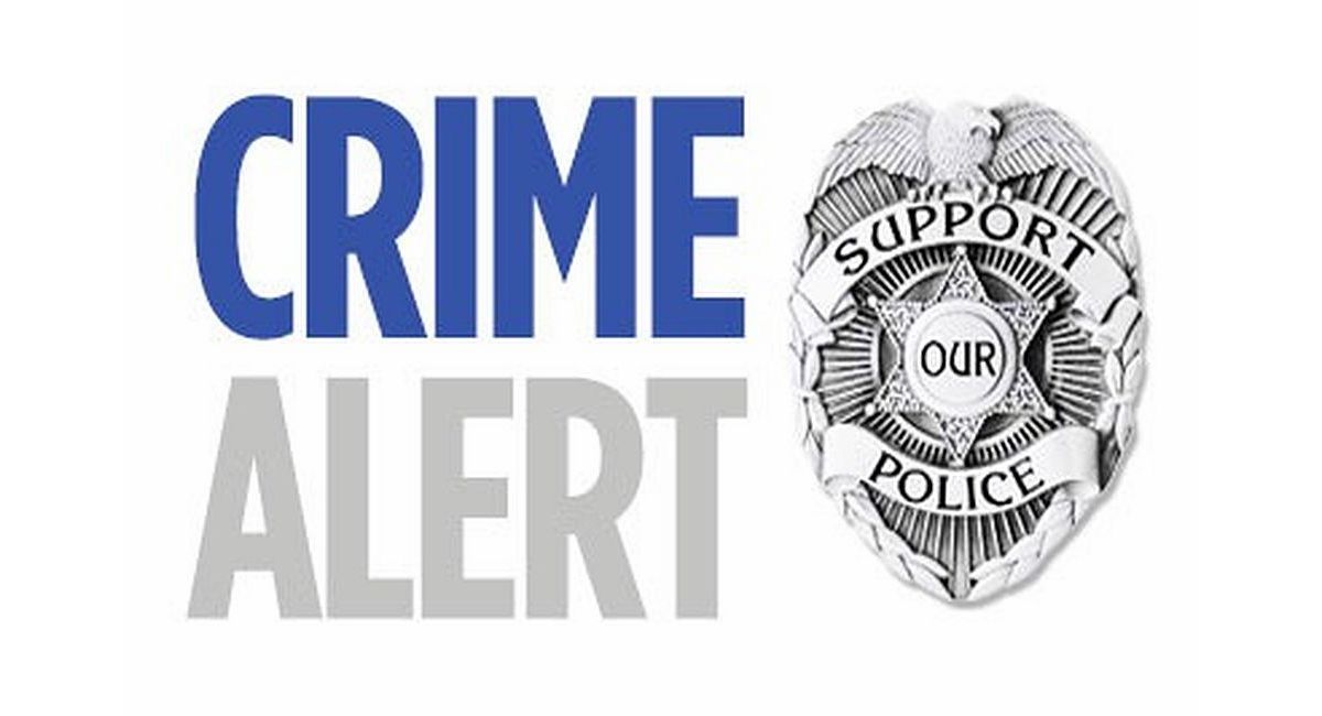 Crime Alert: Spring Township Kohl's theft