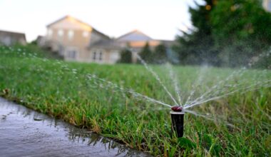 Water restrictions help Lafayette, Louisville, Erie maintain supplies as drought persists – Longmont Times-Call