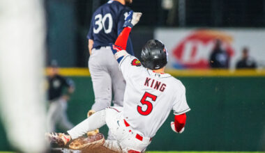Red Wings, after long delay, lose to Scranton 4-1 and fall back in playoff hunt