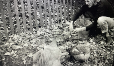 Author writes a love letter to her western Pennsylvania farm