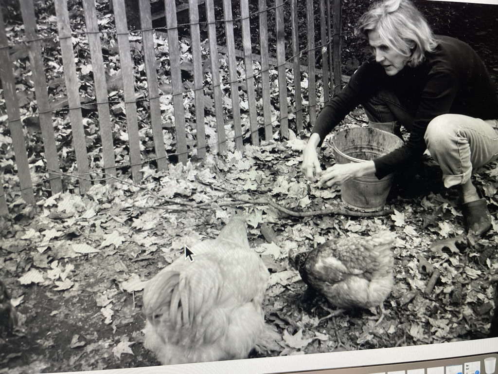 Author writes a love letter to her western Pennsylvania farm