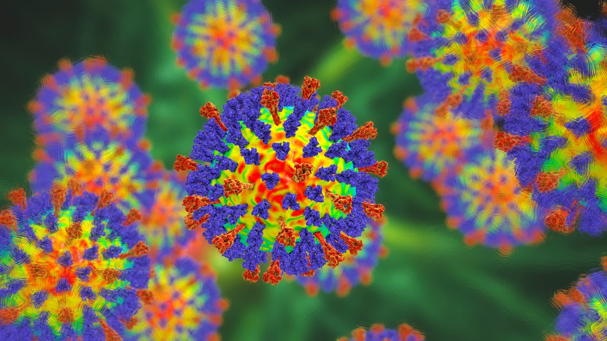 Measles exposure at CHOP NICU, officials say – NBC10 Philadelphia