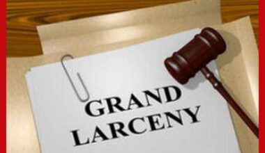 Grand Larceny, DUIs, and Disorderly Arrests in Philadelphia and Neshoba County