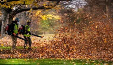 Officials in Lower Merion say the township's gas-powered leaf blower ban has burdened staff and increased costs since it went into effect on June 1.