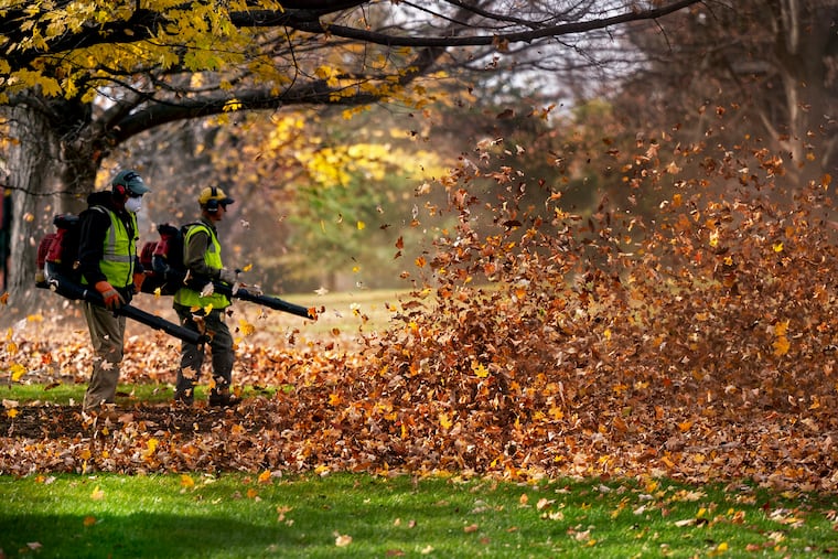 Officials in Lower Merion say the township's gas-powered leaf blower ban has burdened staff and increased costs since it went into effect on June 1.