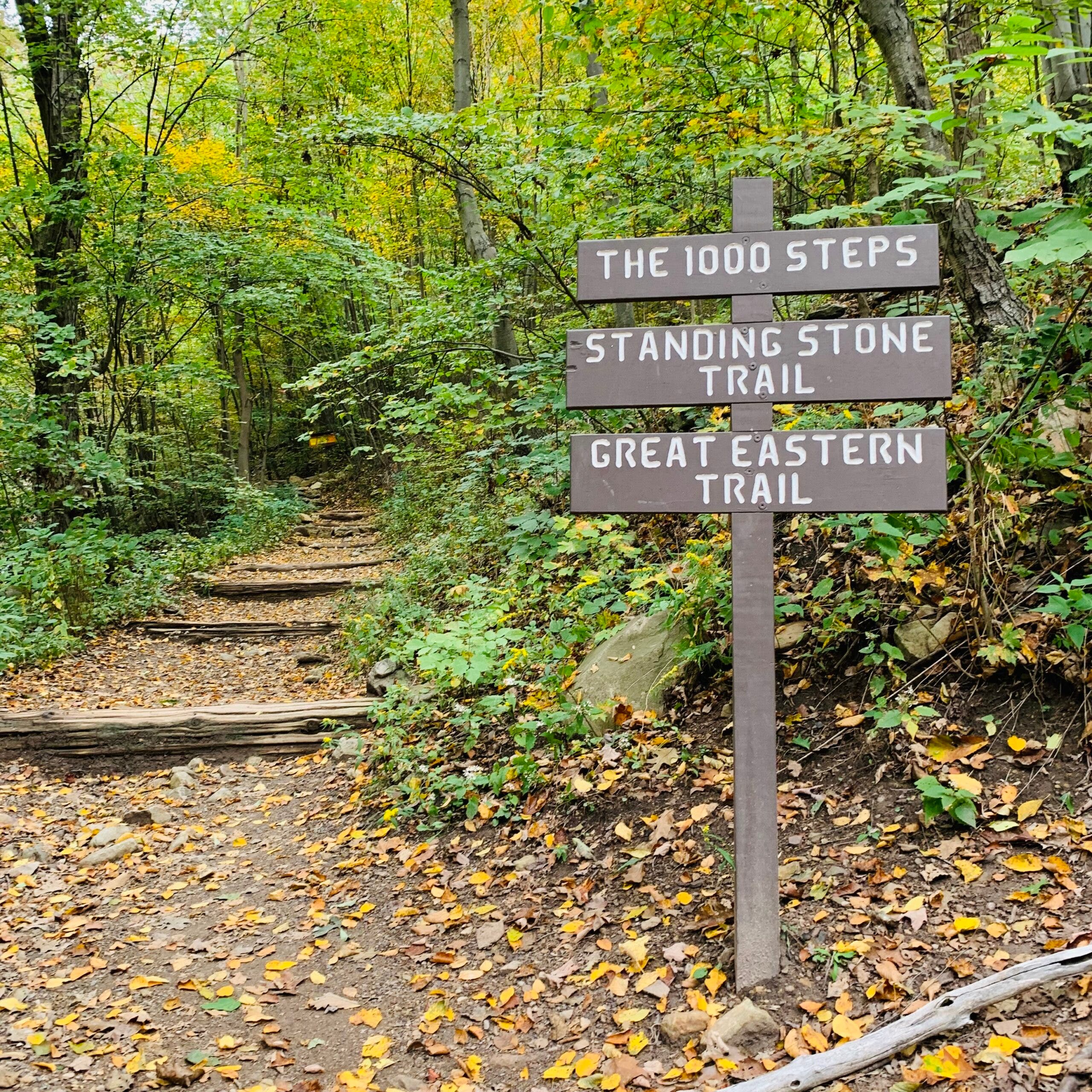 The Thousand Steps on the Standing Stone Trail