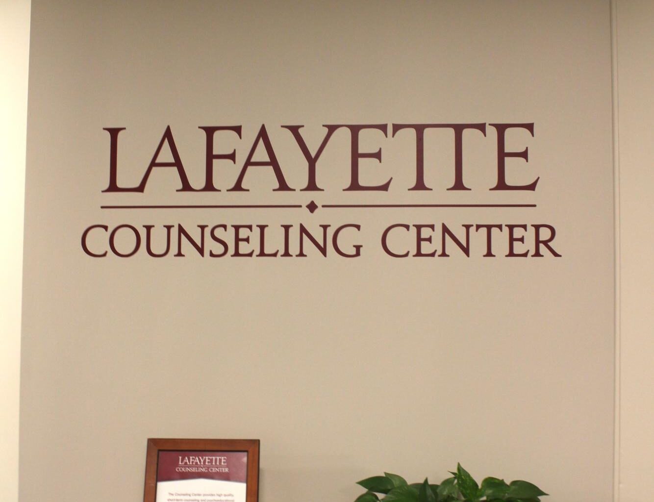 Welcome home: An outlook on the psychology of homesickness – The Lafayette