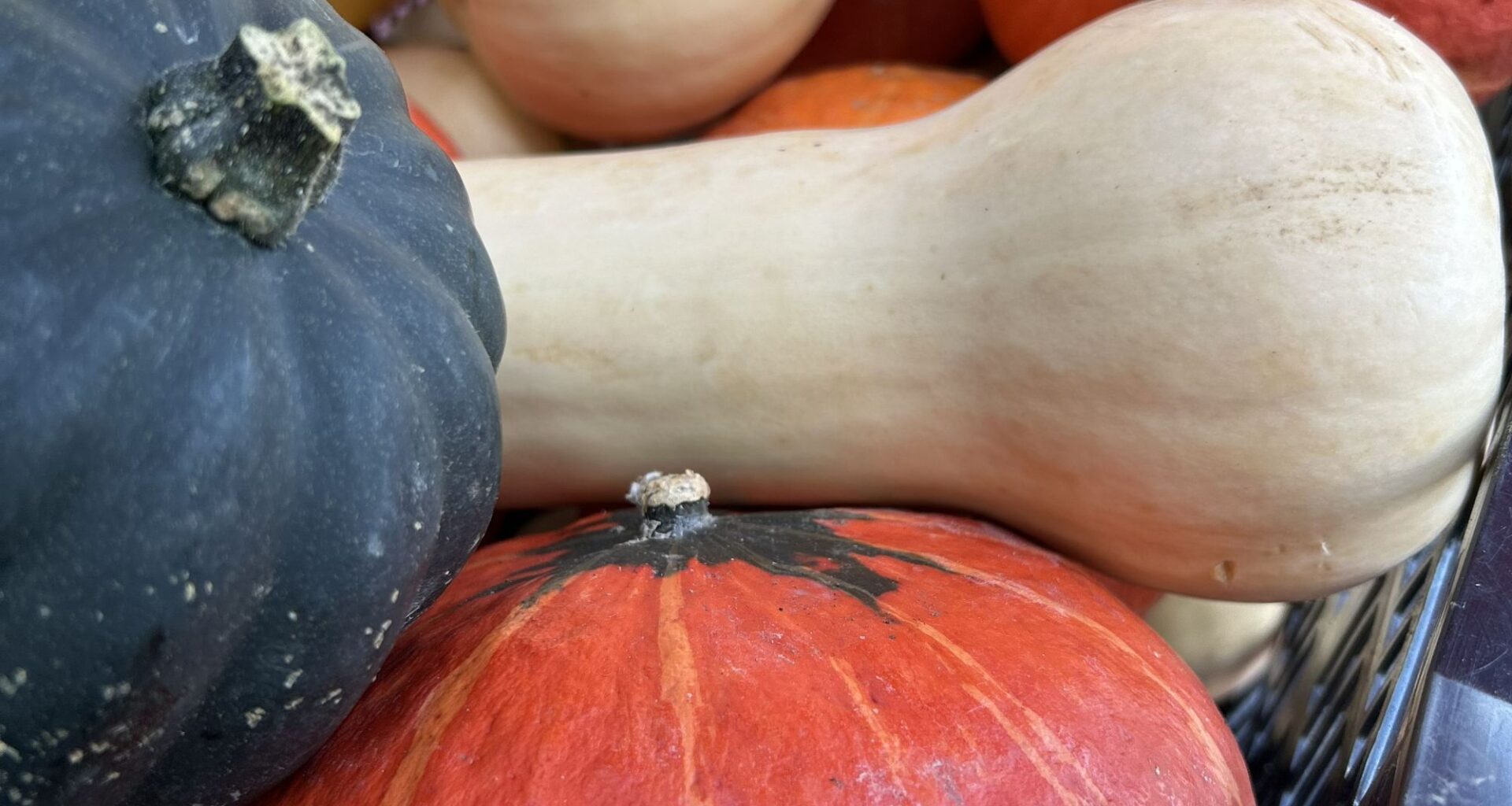 The autumn equinox on Pennsylvania farms