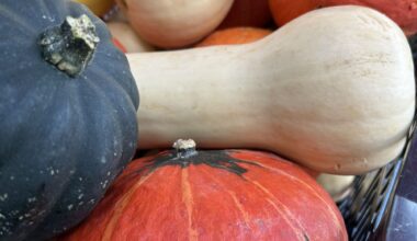 The autumn equinox on Pennsylvania farms