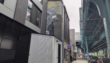 Pigeon mural in Fishtown to be repainted after being obstructed by new apartment building