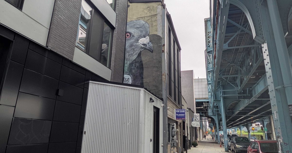 Pigeon mural in Fishtown to be repainted after being obstructed by new apartment building