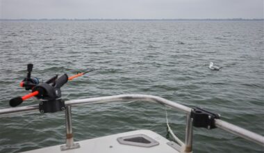 Editorial: Saving Lake Erie | The Blade
