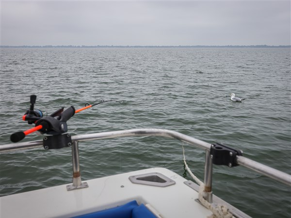 Editorial: Saving Lake Erie | The Blade