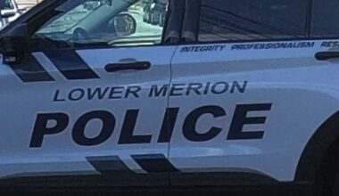 Two hospitalized after tree falls on three cars in Lower Merion
