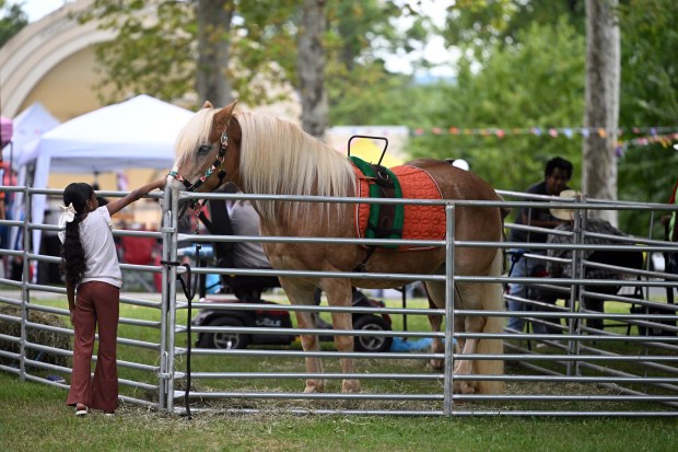 A girl reaches to pet a horse during the Berks Latin Fest in Reading City Park on Saturday, Sept. 12, 2026.   (BILL UHRICH/READING EAGLE)