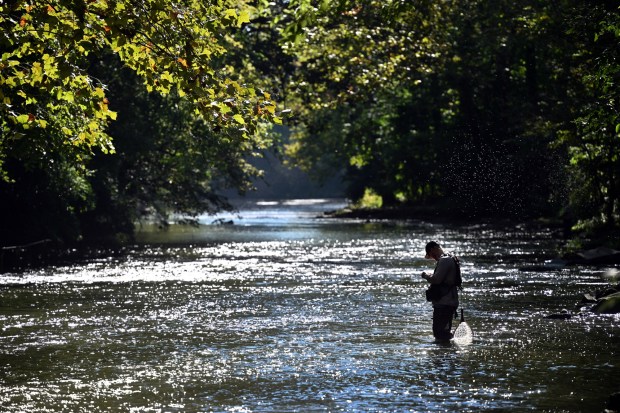 A fisherman attaches a fly to his line during a hatch along the Tulpehocken Creek on Labor Day Monday, Sept. 7, 2026. (BILL UHRICH/READING EAGLE)