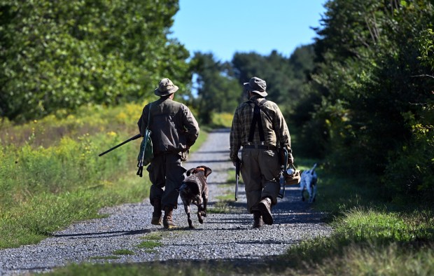 Dove hunters head out on opening day with their dogs onto state game lands at Blue Marsh on Labor Day Monday, Sept. 7, 2026. (BILL UHRICH/READING EAGLE)