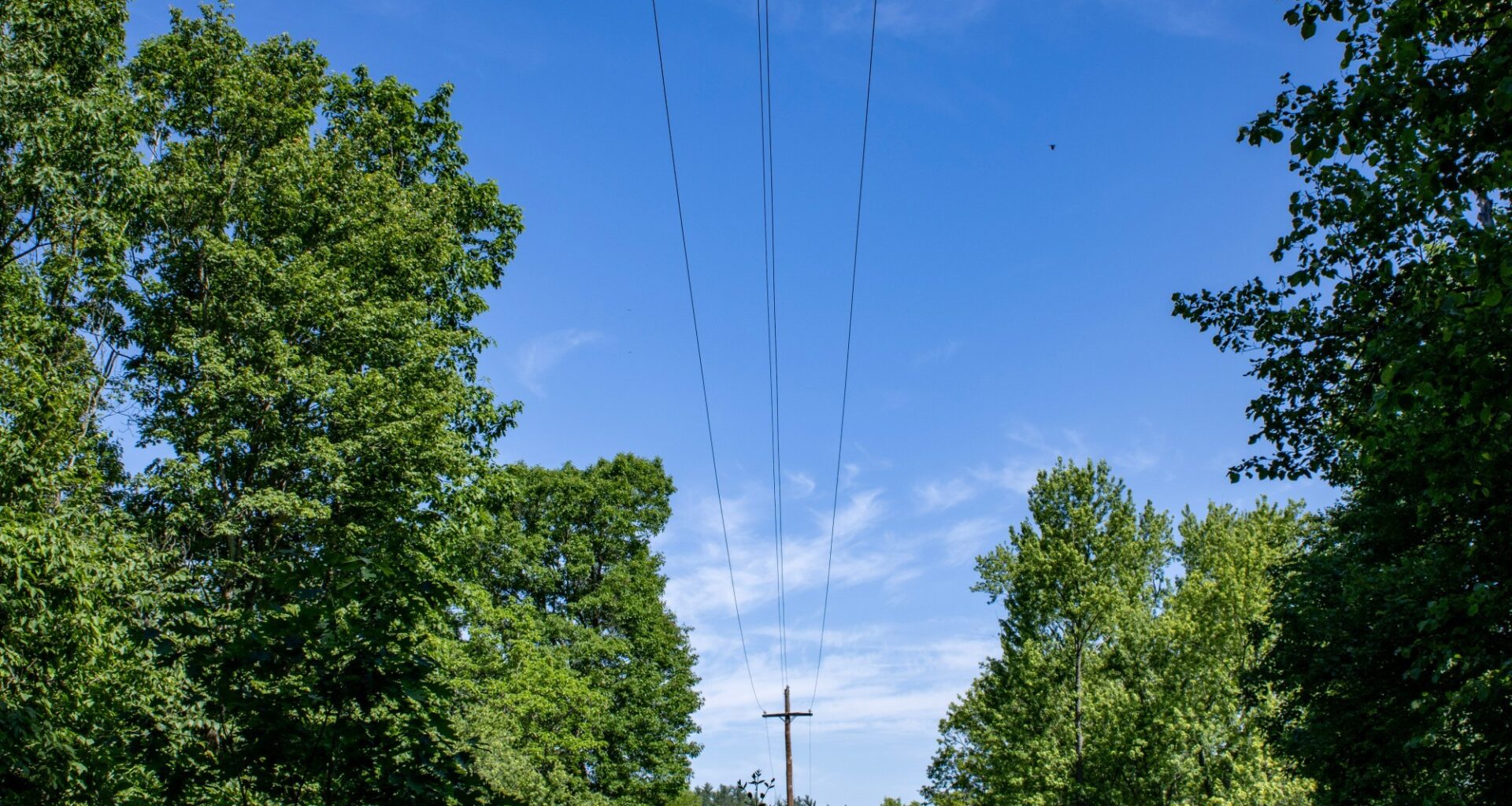 PUC: Data centers to cause nearly 19%-a-year jump in electric demand over next 5 years