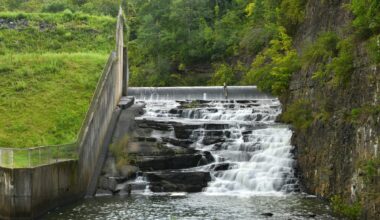 Lackawanna State Park to lower lake level to fix dam