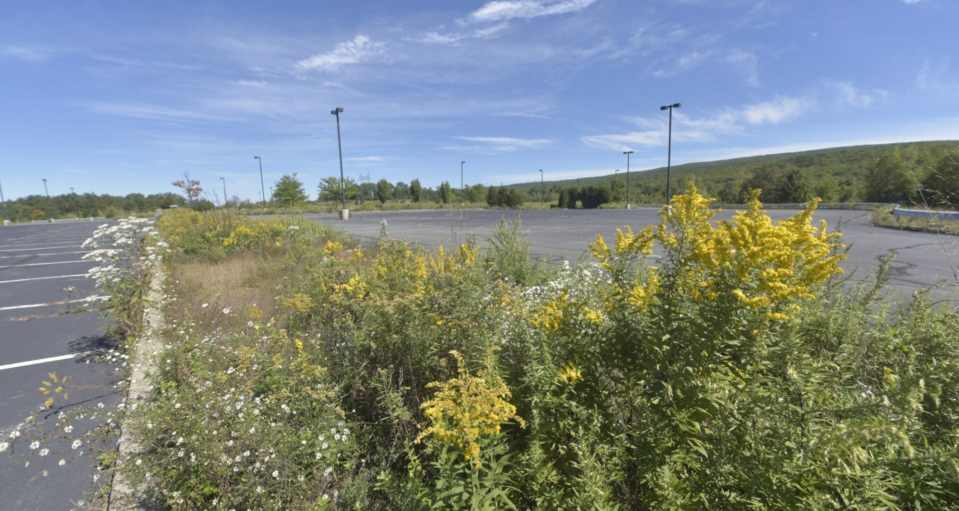 Developer applies for 200,000-square-foot data center in Jessup