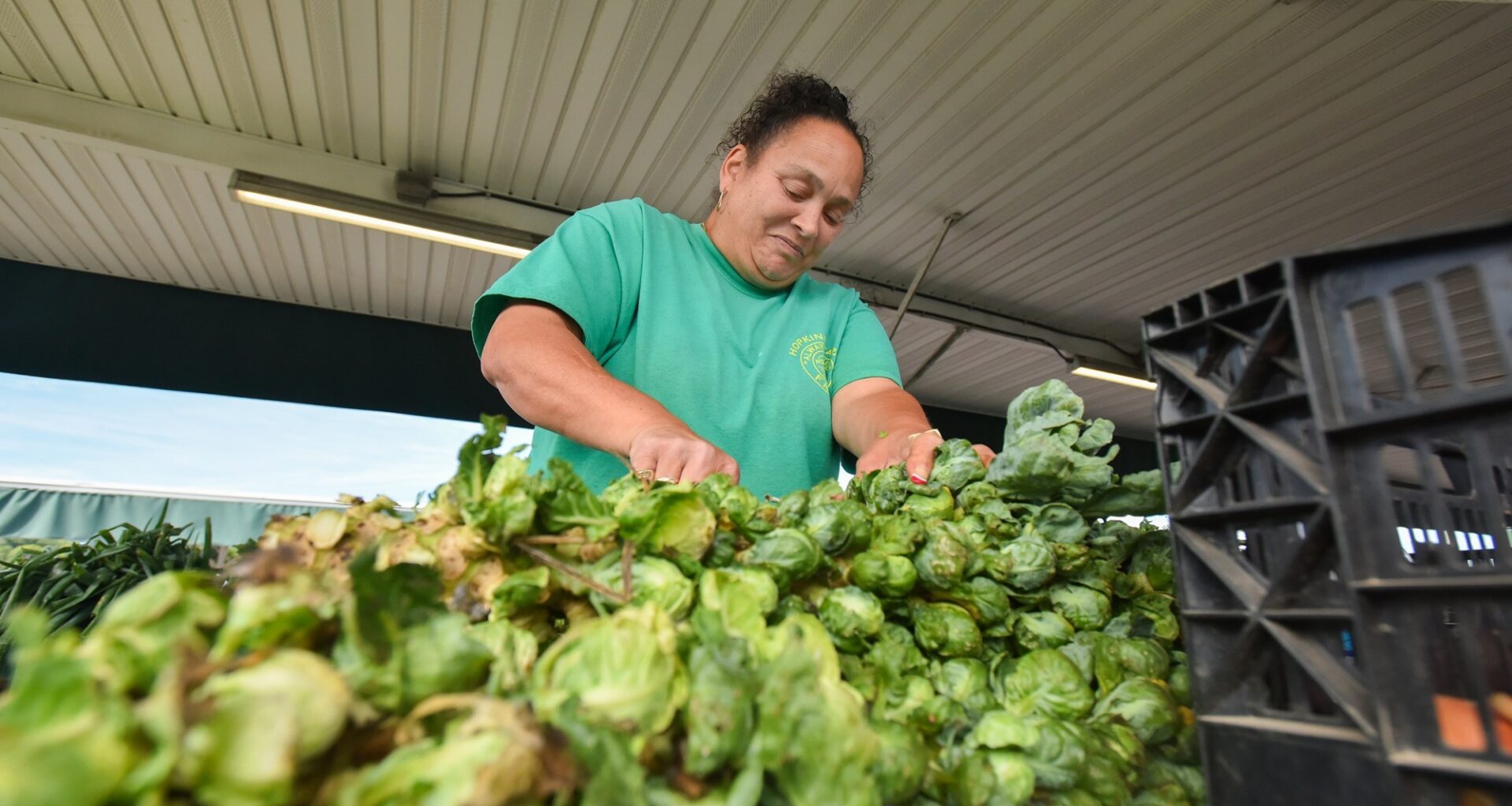 As the leaf turns: First day of autumn brings starts of fall foliage season