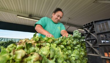 As the leaf turns: First day of autumn brings starts of fall foliage season